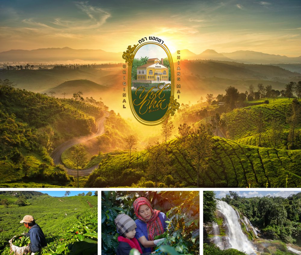 rawmaterial rawmaterial